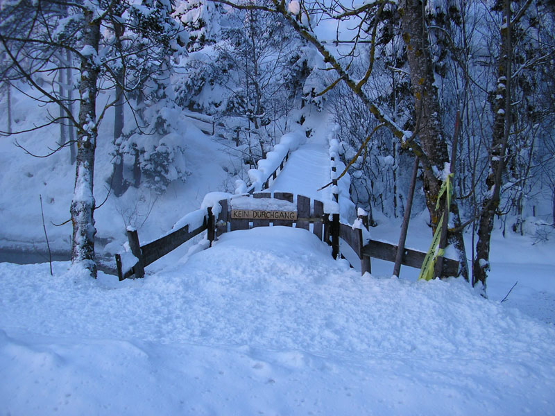 Winterwanderung (101)